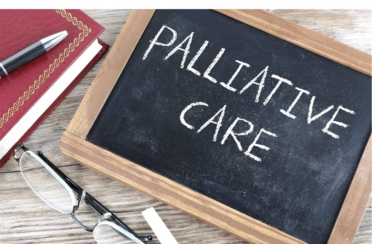 Read more about the article The Importance of Palliative Care for Seniors in the Greater Toronto Area: How Access to Specialized Support Improves Quality of Life